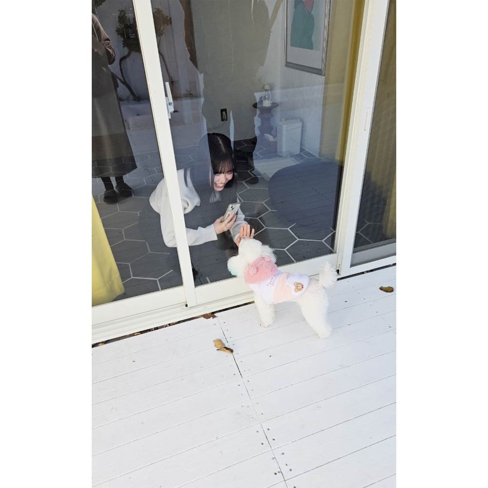 卒業犬ビオレちゃん、初めてづくし！